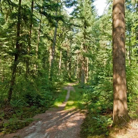 Hotel Landgoedhotel Woodbrooke Barchem Barchem