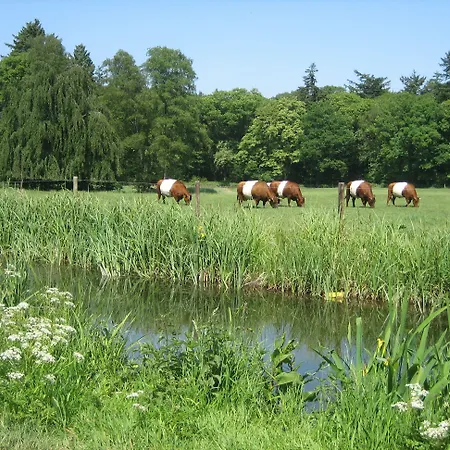 Landgoedhotel Woodbrooke Barchem Hotel Barchem
