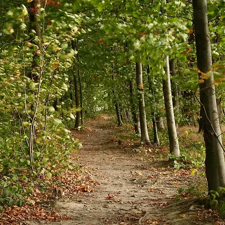 Landgoedhotel Woodbrooke Barchem