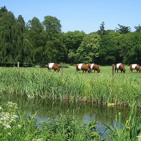 Hotel Landgoedhotel Woodbrooke Barchem