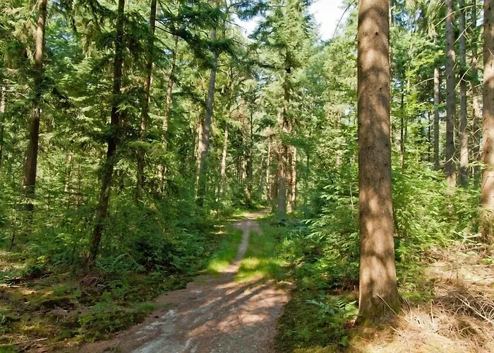 Hotell Landgoedhotel Woodbrooke Barchem