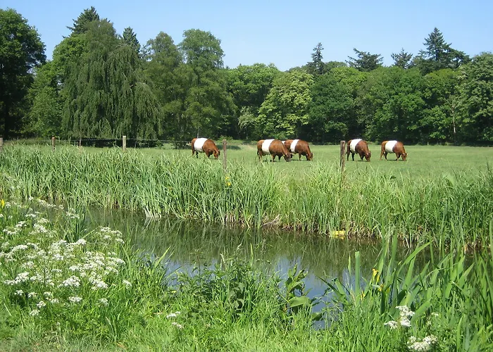 Landgoedhotel Woodbrooke Hotell Barchem