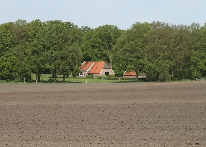 Hotel Landgoedhotel Woodbrooke Barchem