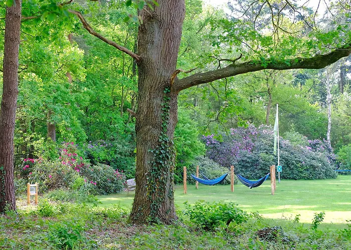 Landgoedhotel Woodbrooke 4* Barchem