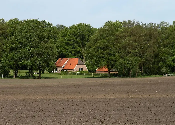 Hotel Landgoedhotel Woodbrooke Barchem