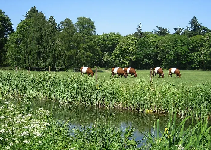 Hotel Landgoedhotel Woodbrooke