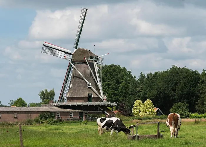 Landgoedhotel Woodbrooke Hotell 4*