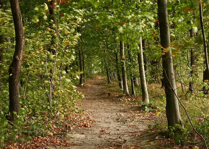 Landgoedhotel Woodbrooke Barchem